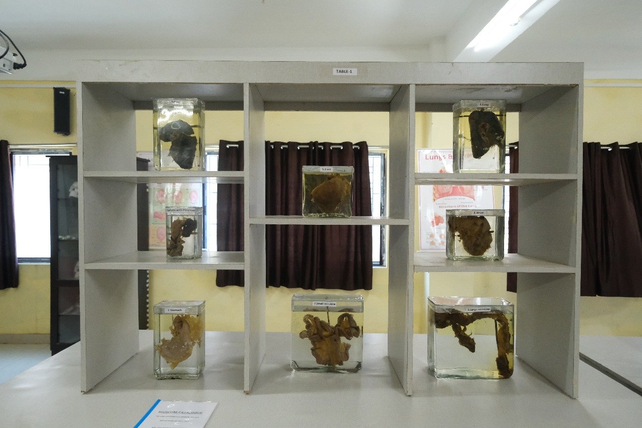 Gallery Image 17